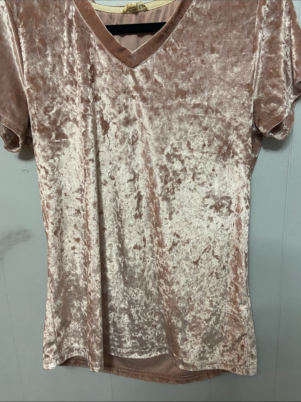 POL Crushed Velvet V-Neck Short Sleeve Top - Blush